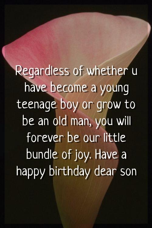 birthday wish for little son